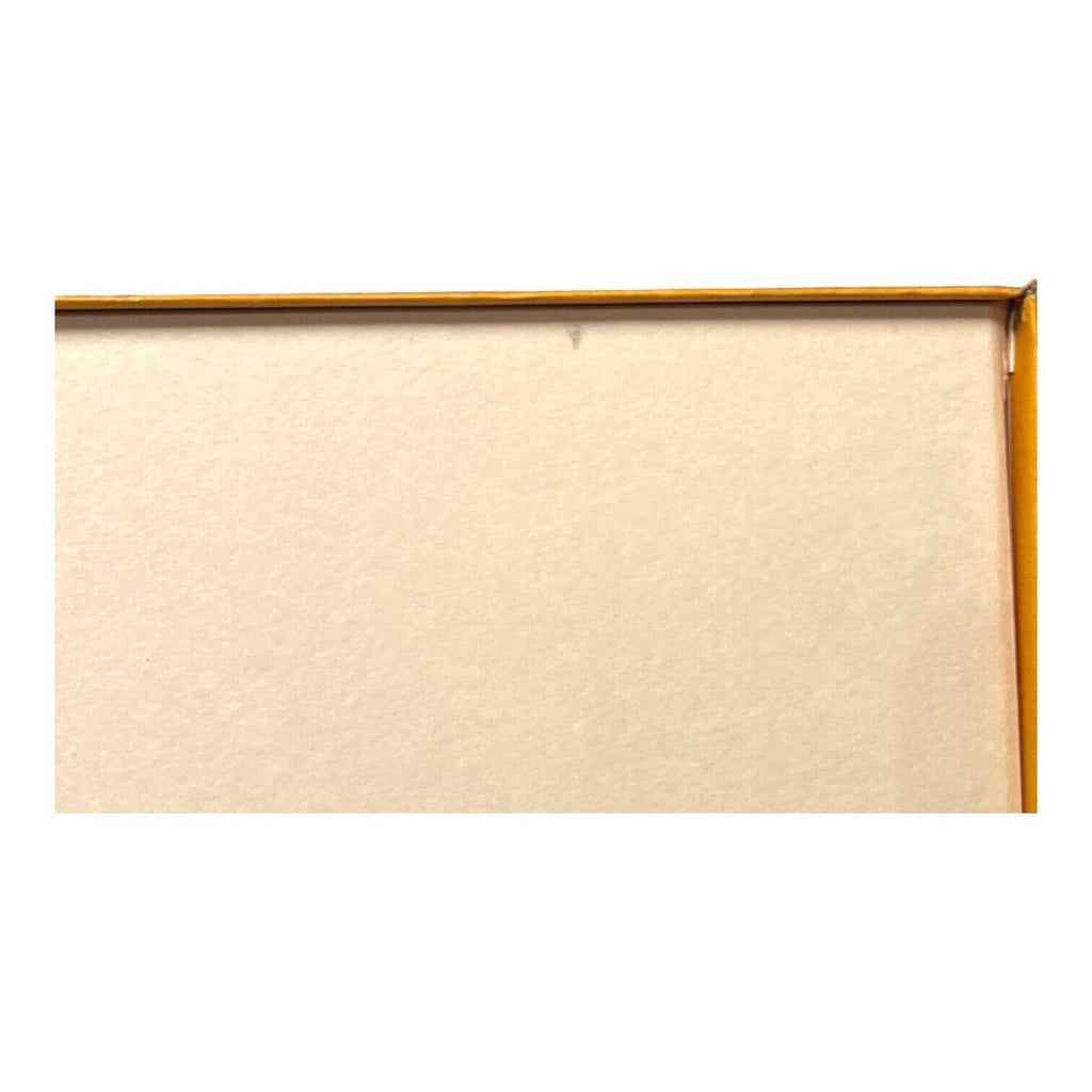 Louis Vuitton Empty Magnetic Style Gift Box 18”x 14.5”x 6.5” Storage Purse Shoes