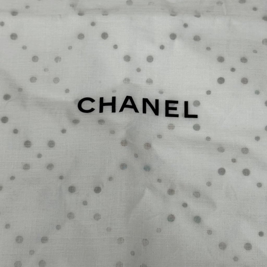 Chanel White Dust Bag Mesh Handbag Purse Storage Zipper Closure 14x10 Inches