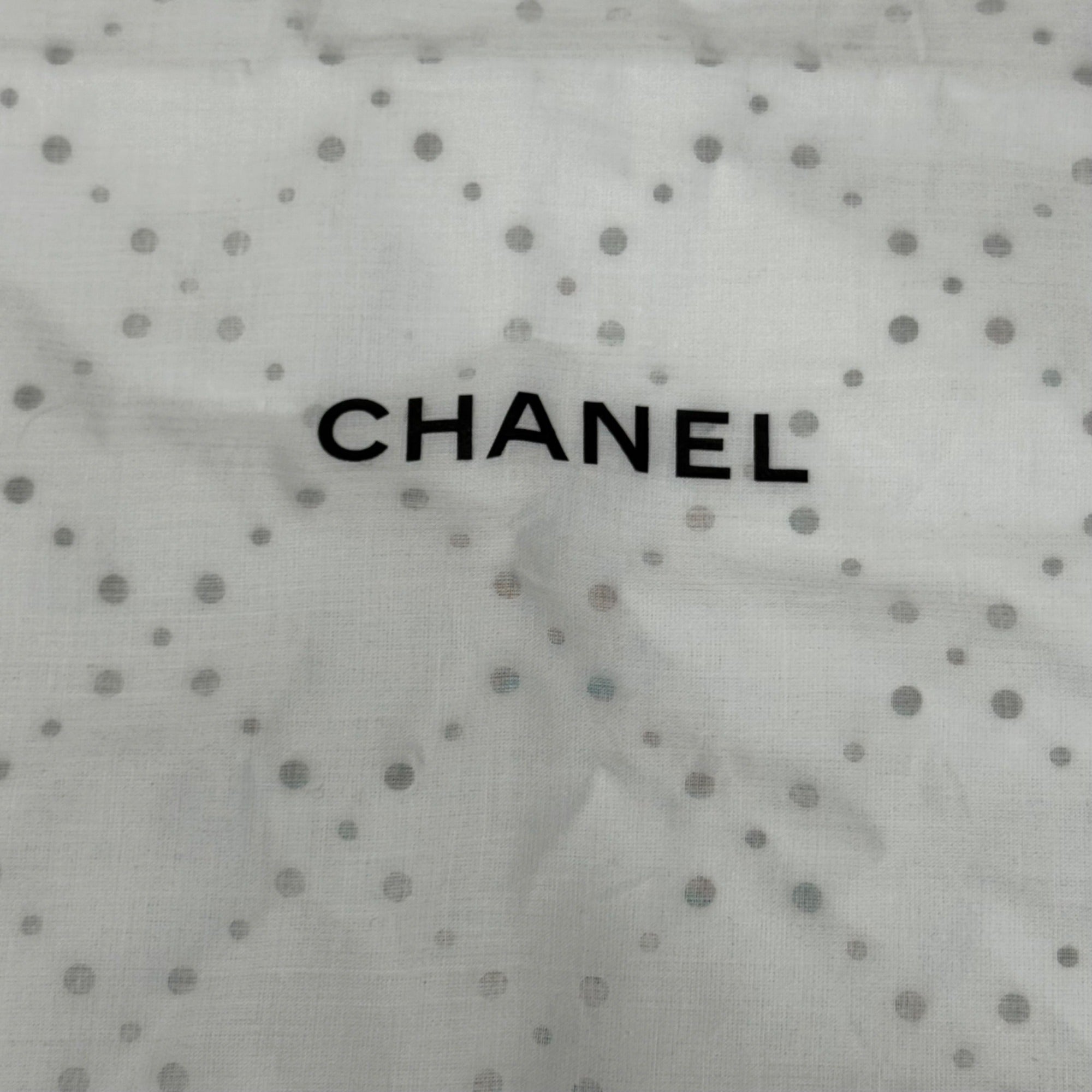 Chanel White Dust Bag Mesh Handbag Purse Storage Zipper Closure 14x10 Inches