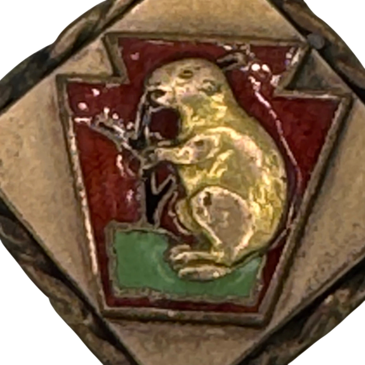 Vintage Slumbering Groundhog Lodge Quarryville PA Enamel Watch Fob Charm Pendant