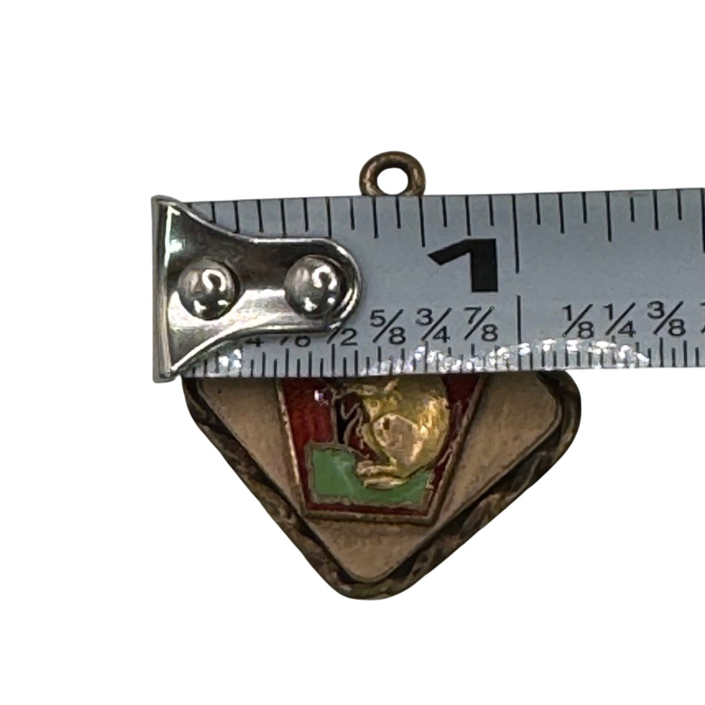Vintage Masonic Quarryville PA Groundhog Charm Pendant Watch Fob Enamel 1" RARE