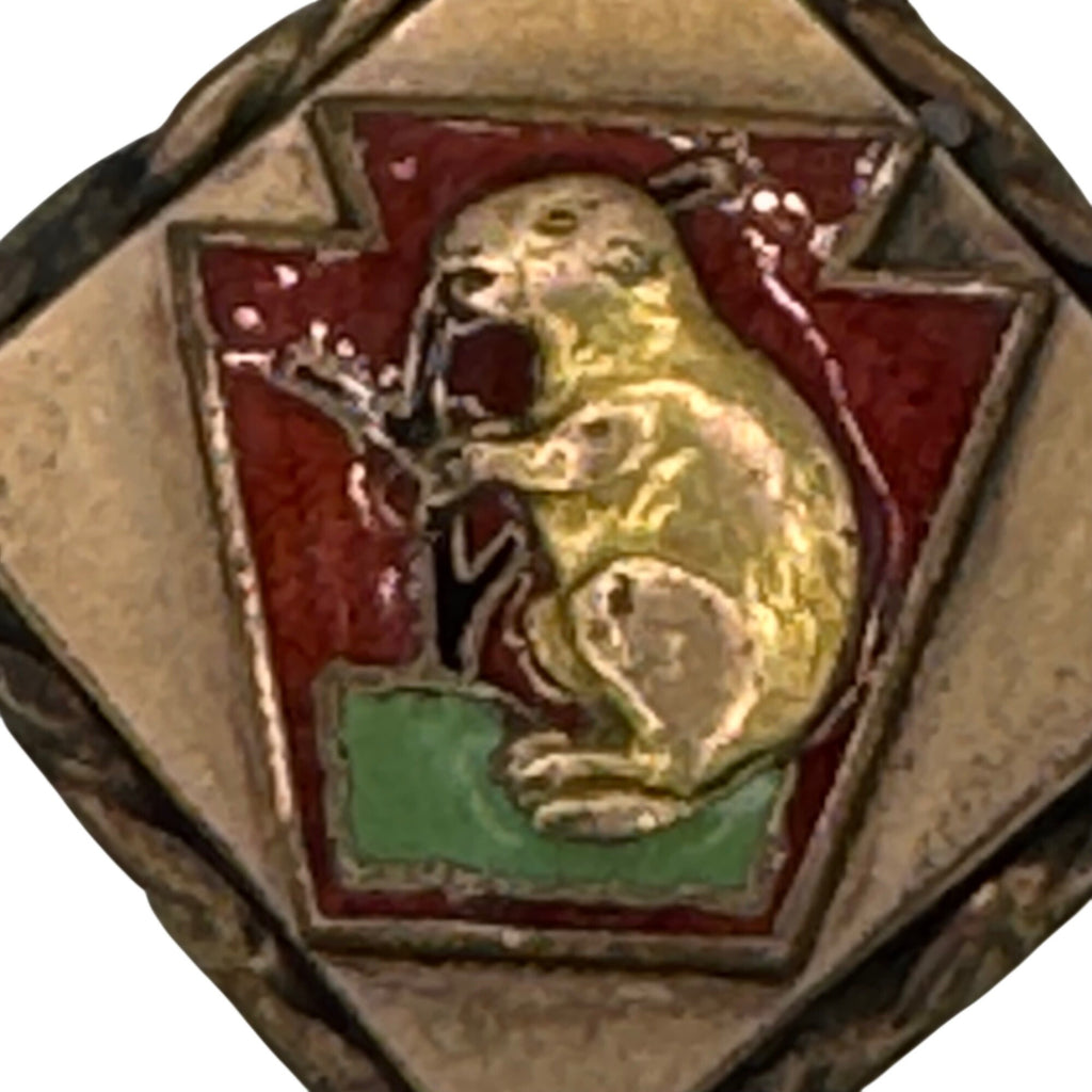 Vintage Masonic Quarryville PA Groundhog Charm Pendant Watch Fob Enamel 1" RARE
