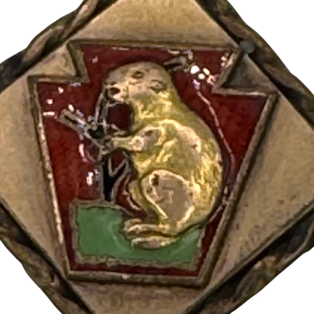 Vintage Masonic Quarryville PA Groundhog Charm Pendant Watch Fob Enamel 1" RARE