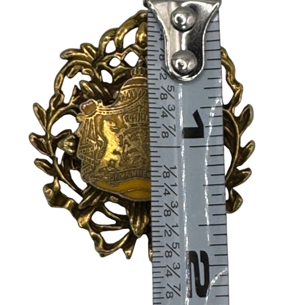 Rare Vintage Antique Netherlands Coat Of Arms Je Maintiendrai Lions Crown Brooch