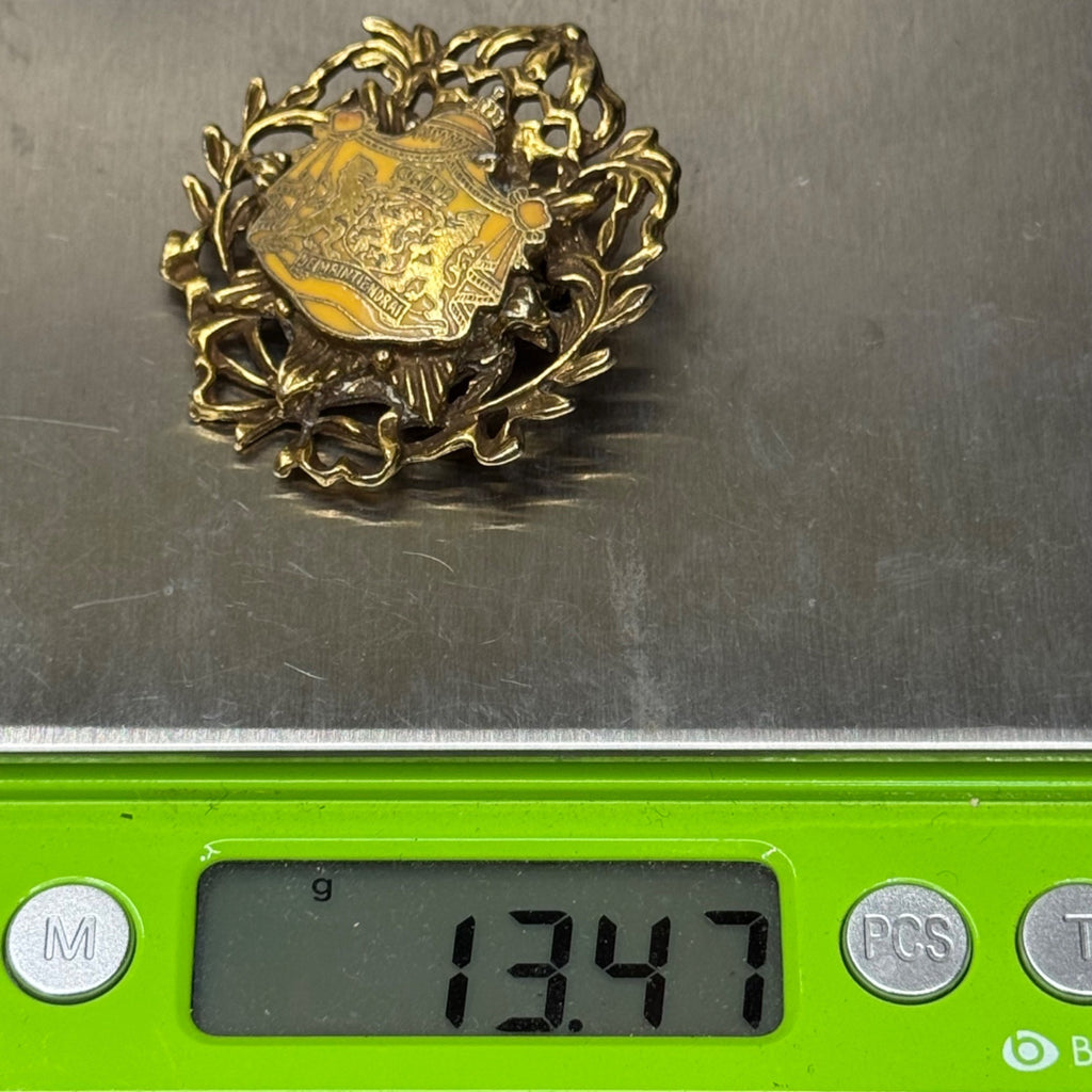 Rare Vintage Antique Netherlands Coat Of Arms Je Maintiendrai Lions Crown Brooch