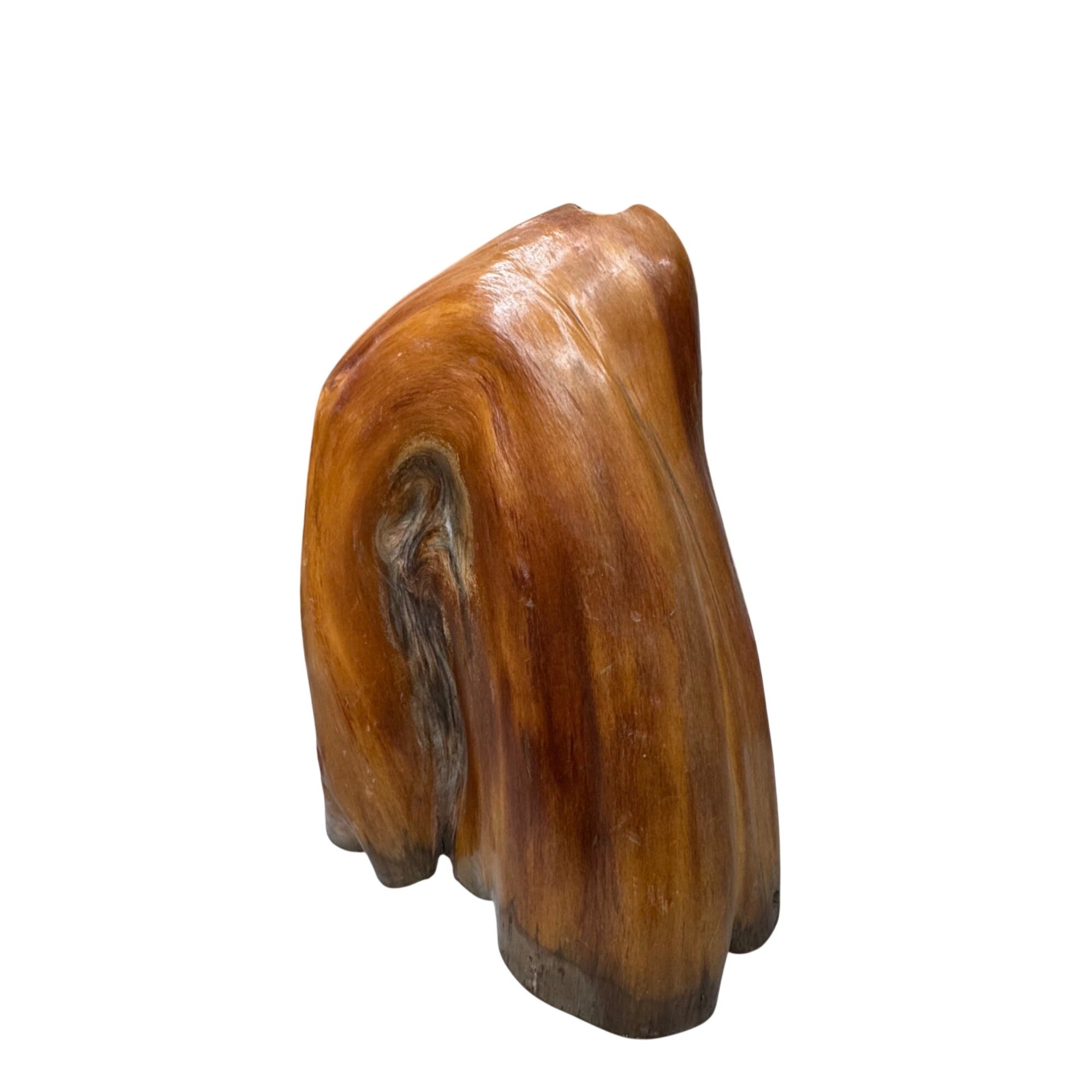 Natural Cypress Stump Wood Lamp Base LARGE Polished Finish Organic Shape 15"