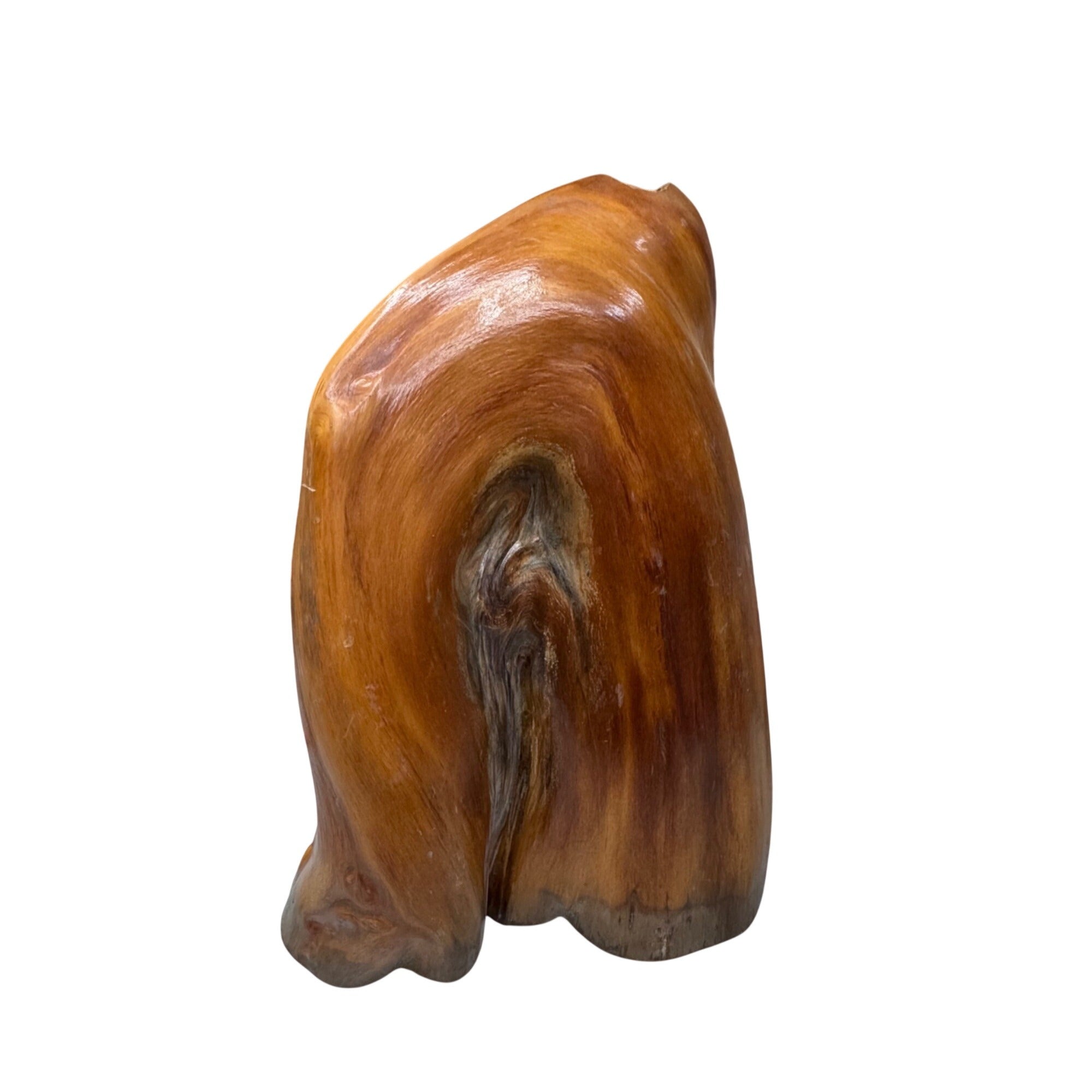 Natural Cypress Stump Wood Lamp Base LARGE Polished Finish Organic Shape 15"