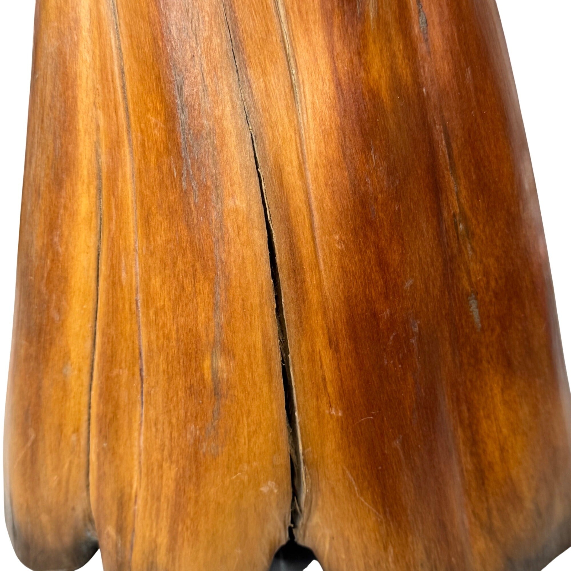 Natural Cypress Stump Wood Lamp Base LARGE Polished Finish Organic Shape 15"