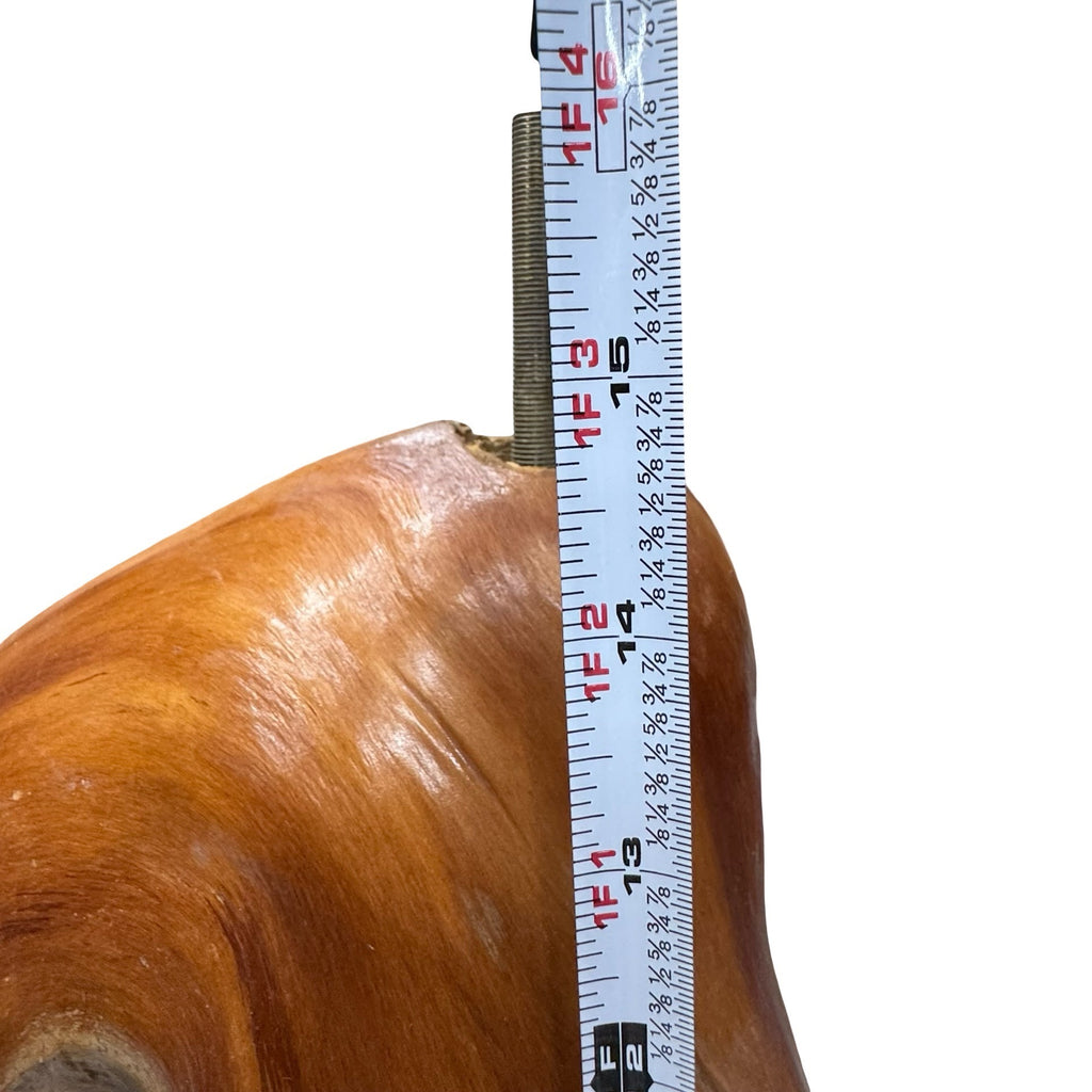 Natural Cypress Stump Wood Lamp Base LARGE Polished Finish Organic Shape 15"