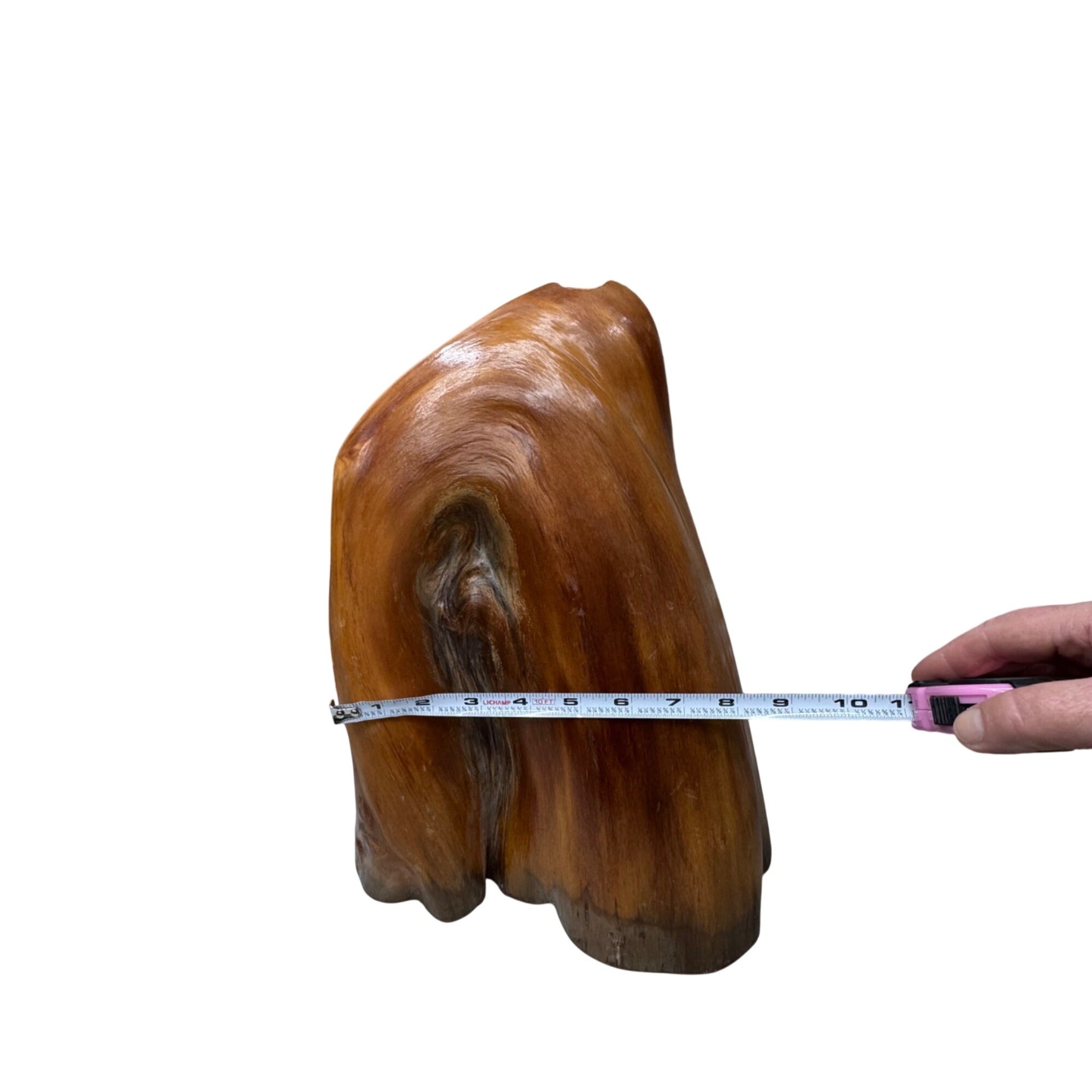 Natural Cypress Stump Wood Lamp Base LARGE Polished Finish Organic Shape 15"