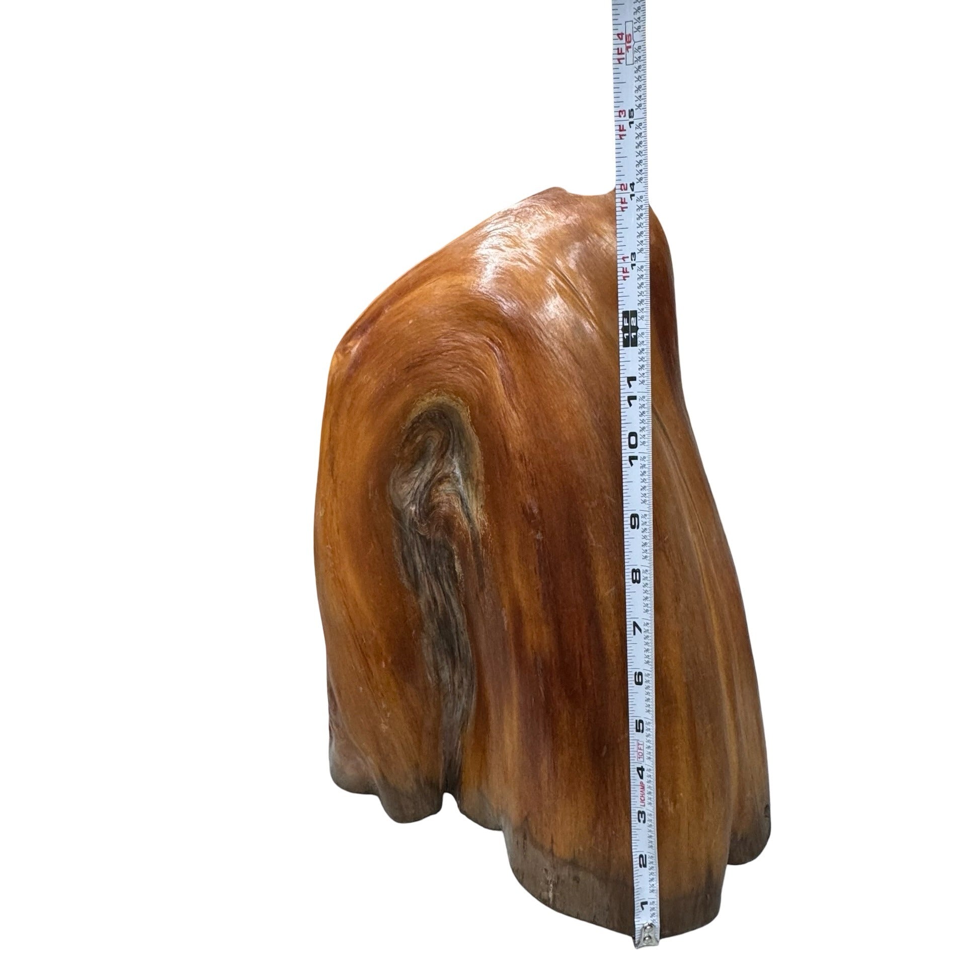 Natural Cypress Stump Wood Lamp Base LARGE Polished Finish Organic Shape 15"
