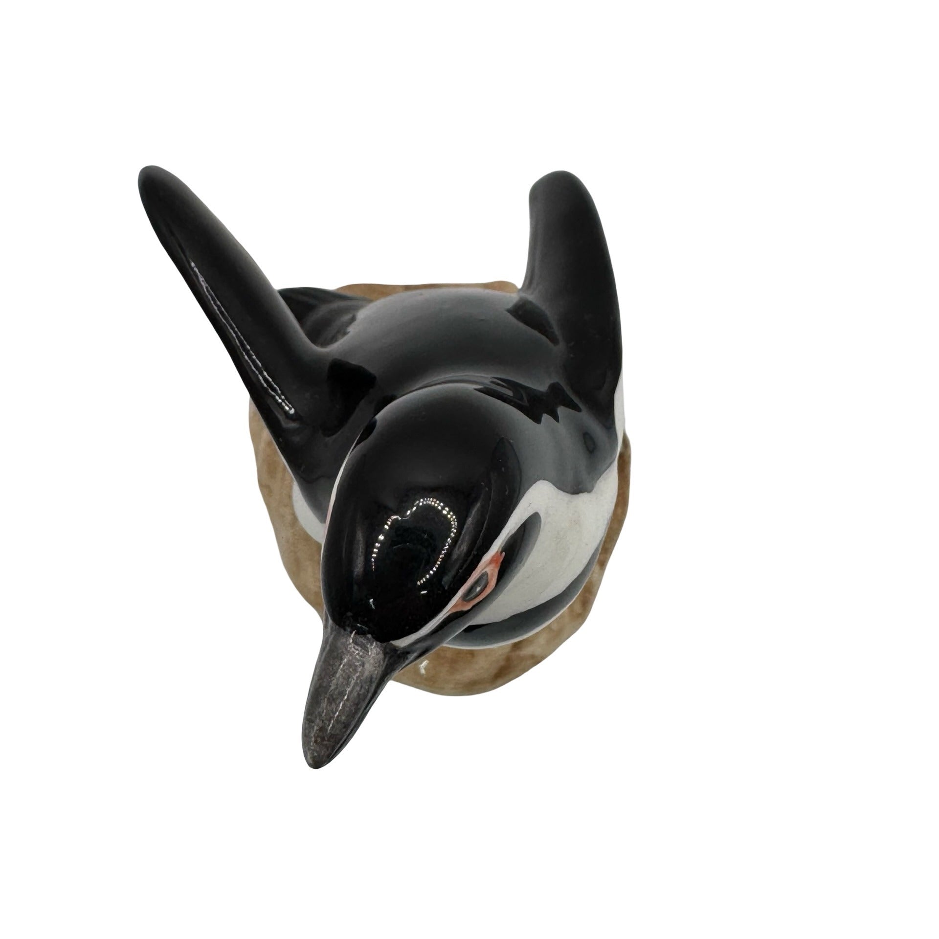 Goebel Bird Black Footed Penguin Gloss Reference 66 951 37 7 Vtg RARE Figurine